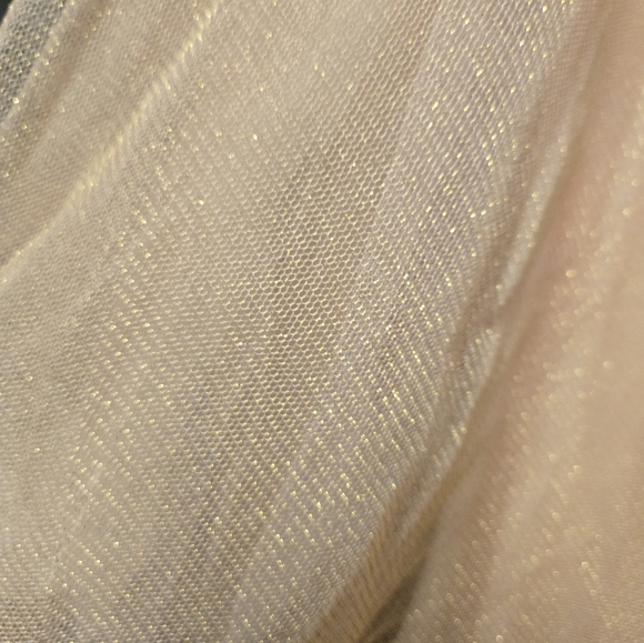 Belle Badgley Mischka size 2 tulle skirt - Picture 3 of 5